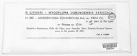 Image of Microdiplodia constrictula